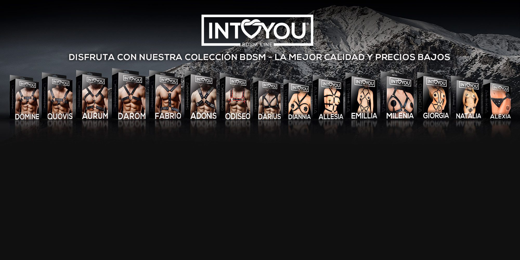 6df7a8e1d98bd291faf6d06d82ae150970444e56_BANNER_arneses_bdsm_intoyou_esp