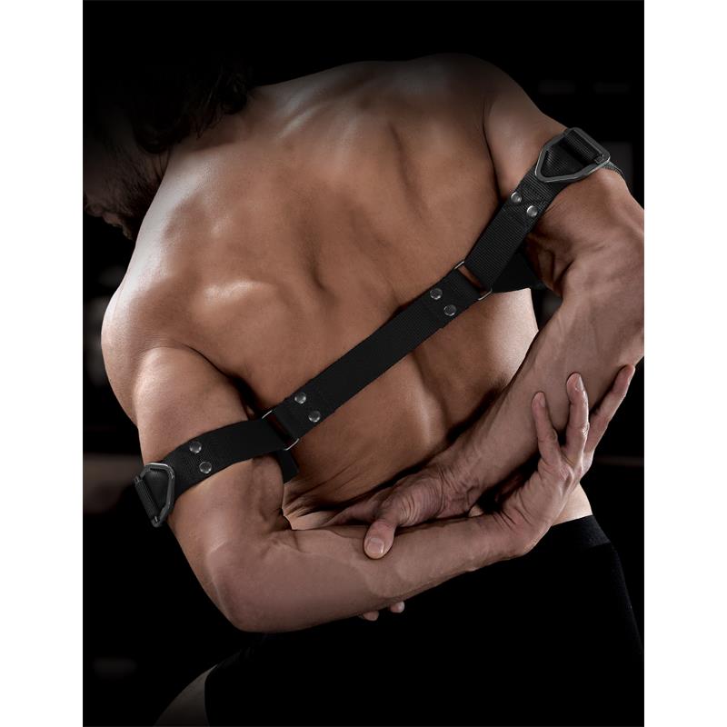 Correas para Bíceps - Imagen 4