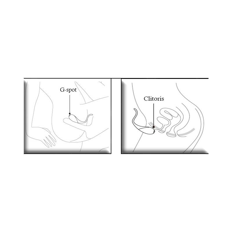 Estimulador Parejas CoCo Fuchsia - Imagen 6